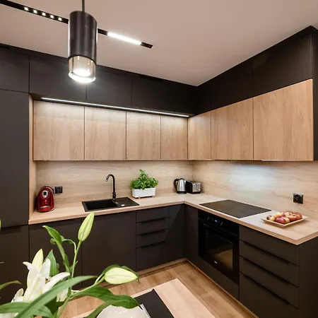 アパート Lupus Centrum グダニスク